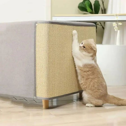 protection canapé chat avec chat griffant 2