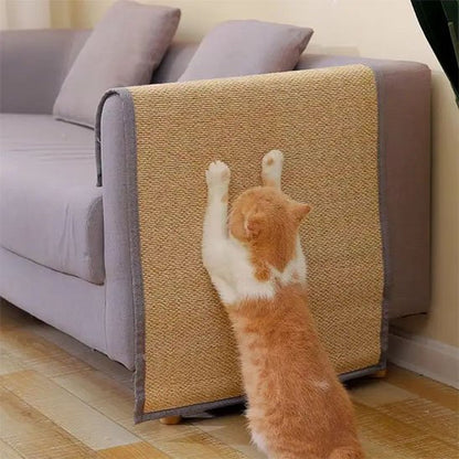 protection canapé chat avec chat griffant 3