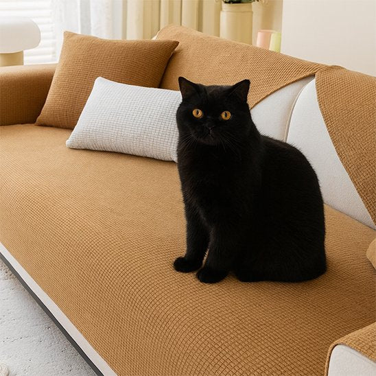 protection canapé chat beige caramel avec chat noir 