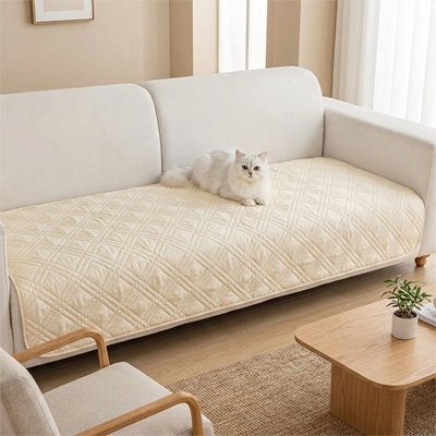 protection canapé chat beige doux chat allongé