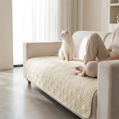 protection canapé chat beige doux chat humain assis