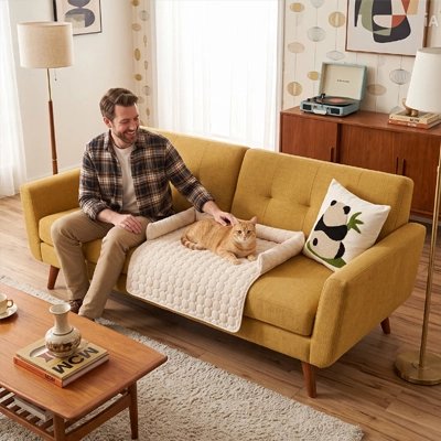 protection canape chat blanc rebords homme chat roux