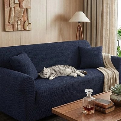 protection canapé chat bleue marine chat endormi