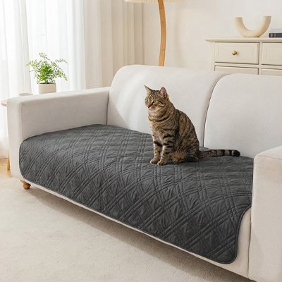 protection canapé chat gris foncé places assises chat assis