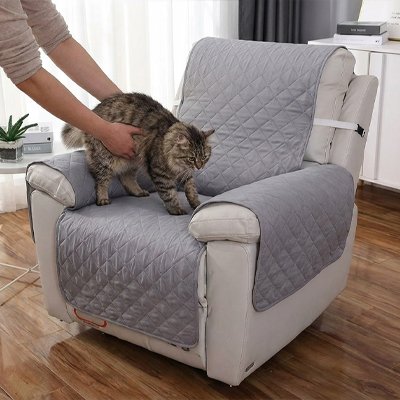 protection canapé chat grise une place avec chat positionné