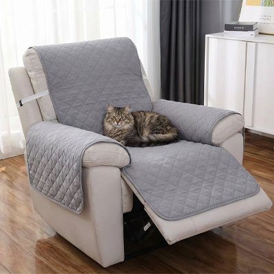 protection canapé chat grise une place avec chat 