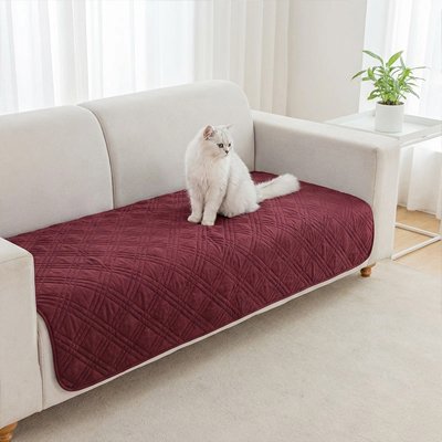 protection canapé chat rouge bordeaux chat assis