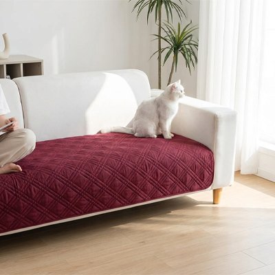 protection canapé chat rouge bordeaux chat humain assis