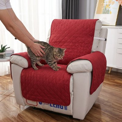 protection canapé chat rouge bordeaux une place avec chat