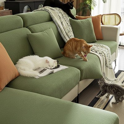 protection canapé chat verte avec plusieurs chats