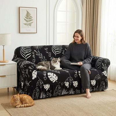 protege canape chat noir feuille humain chats
