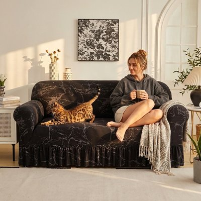 protege canape chat noir marbré humain chat