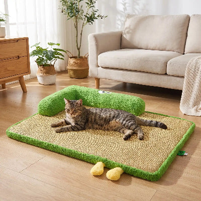 tapis chat avec rebord vert chat allongé salon