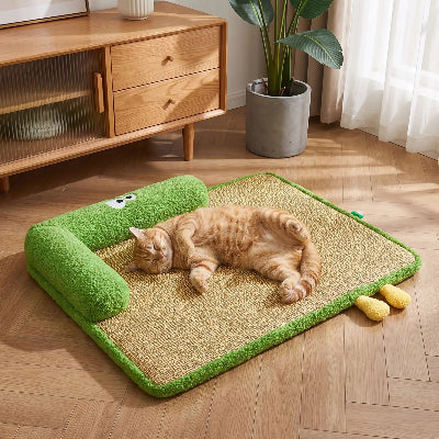 tapis chat avec rebord vert chat allongé sur dos