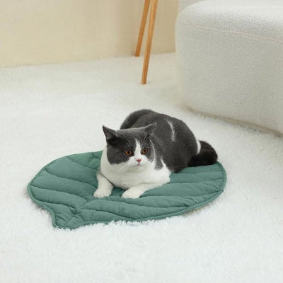 tapis chat feuille verte avec chat allongé