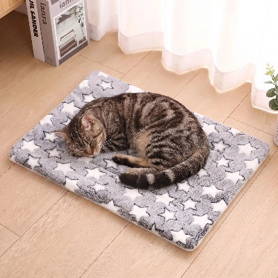 tapis chat gris étoilé chat endormi 