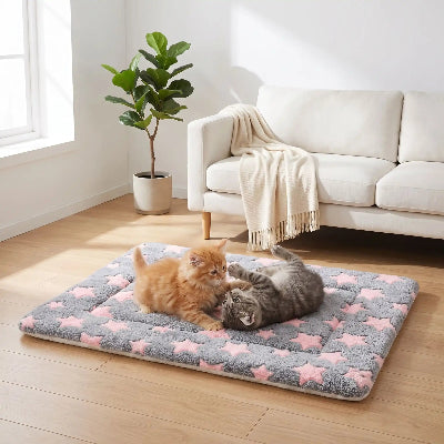 tapis chat gris rose étoilé chatons jouant 