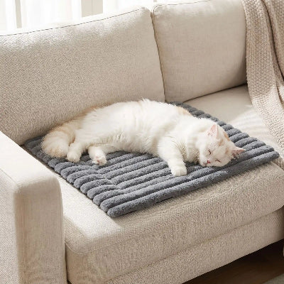 tapis chat gris sur canapé chat endormi