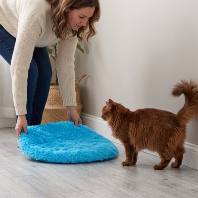 tapis chat rond bleu chat femme plaçant tapis