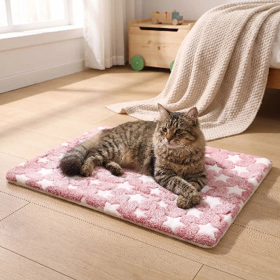 tapis chat rose étoilé chat posé
