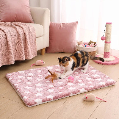 tapis chat rose étoilé chaton jouant 