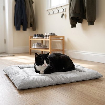 tapis pour chat gris chat allongé