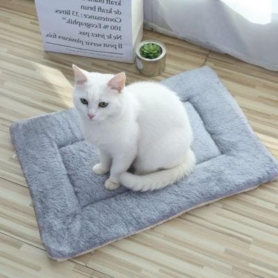 tapis pour chat gris chat blanc assis 