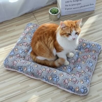 tapis pour chat gris empreintes pattes chat assis 