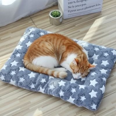 tapis pour chat gris étoiles chat endormi