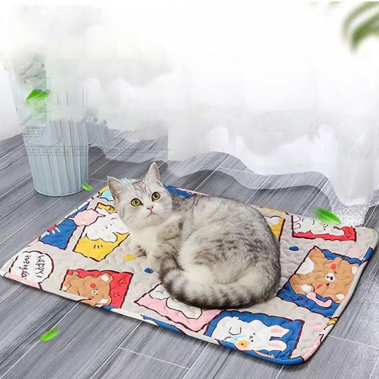 tapis rafraichissant chat animaux mignons avec chat 