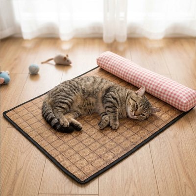 tapis rafraichissant chat avec chat tranquille