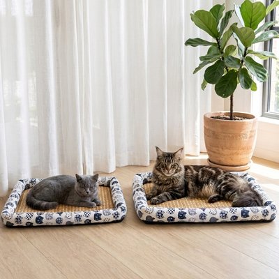 tapis rafraichissant chat blanc rotin deux tailles deux chats allongés