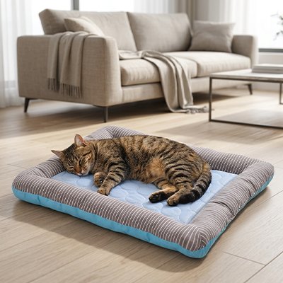 tapis rafraichissant chat bleu avec chat endormi