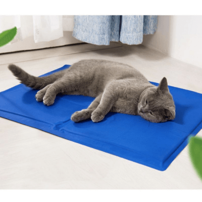 tapis rafraichissant chat bleu gel avec chat allongé 