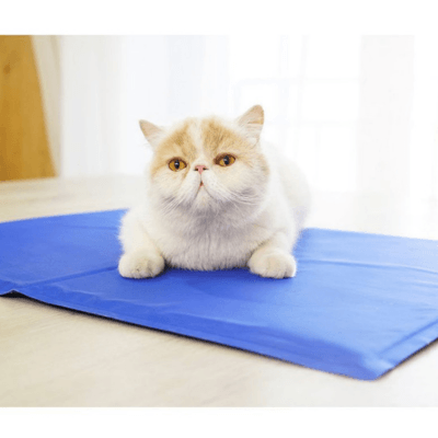 tapis rafraichissant chat bleu gel avec chat tranquille 