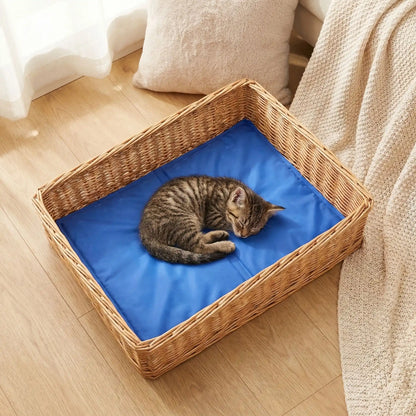tapis rafraichissant chat bleu gel avec chaton endormi 