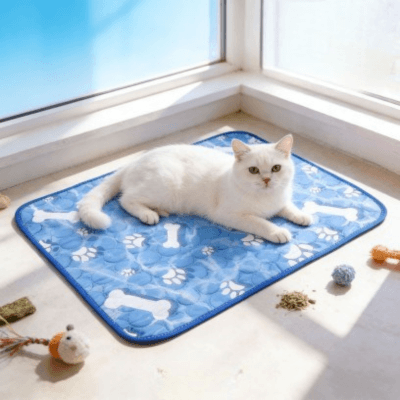 tapis rafraichissant chat bleu pattes os avec chat blanc 