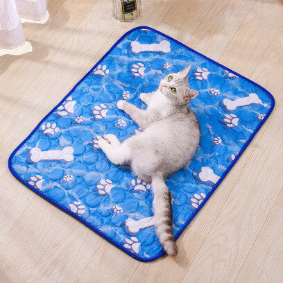 tapis rafraichissant chat bleu pattes os chat allongé