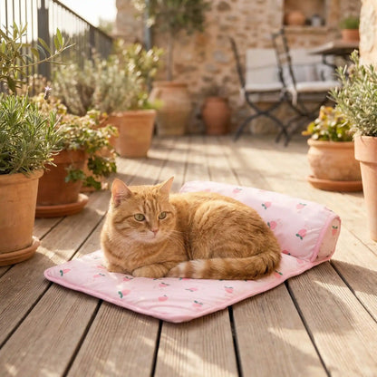 tapis rafraichissant chat lit pêche avec chat allongé terrasse 