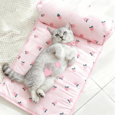 tapis rafraichissant chat lit pêche avec chat sur dos 