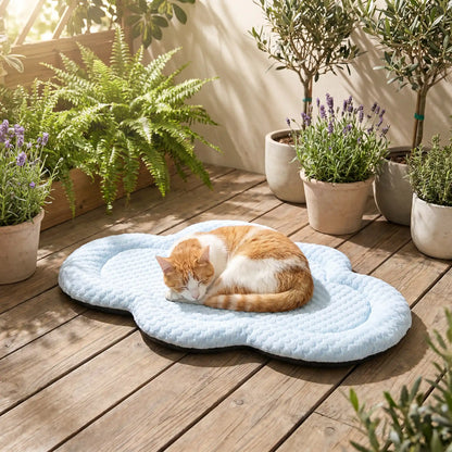 tapis rafraichissant chat nuage bleu chat endormi 