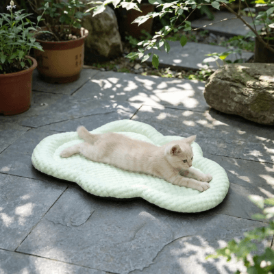 tapis rafraichissant chat nuage vert chat allongé plantes 