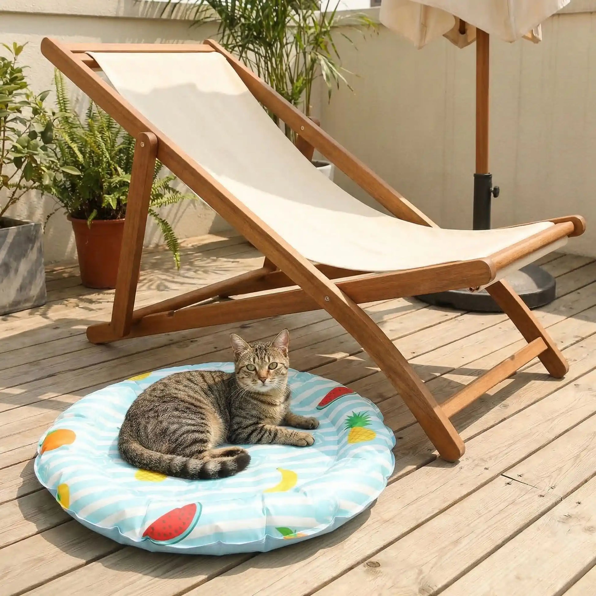tapis rafraichissant chat rond avec chat transate 