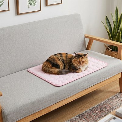 tapis rafraichissant chat rose sur canape avec chat dodo