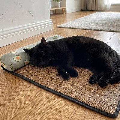 tapis rafraichissant chat rotin avec chat calme 