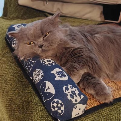 tapis rafraichissant chat rotin avec chat endormi