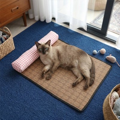 tapis rafraichissant chat rotin avec chat 