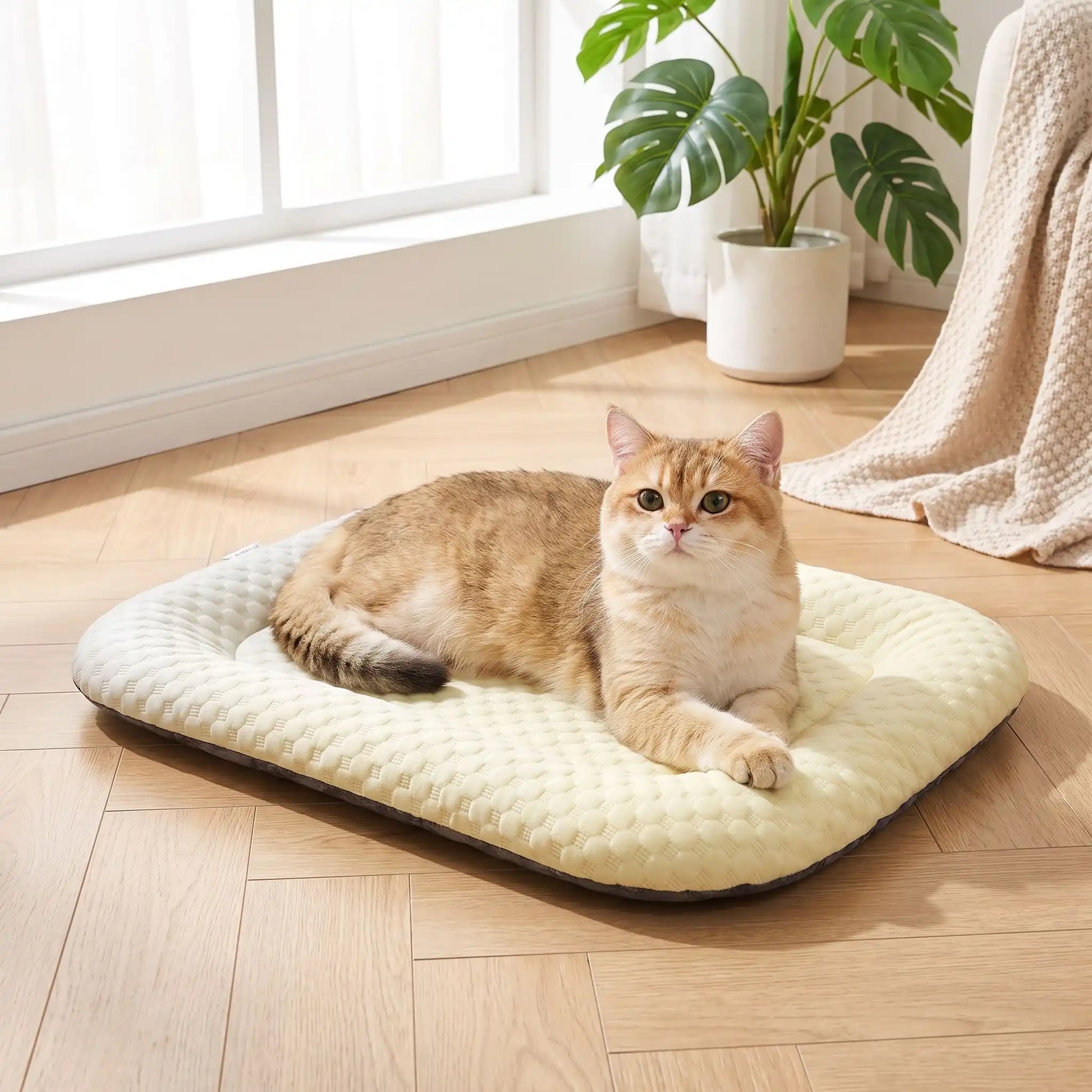 tapis rafraichissant chat soie végétal dégradé jaune 
