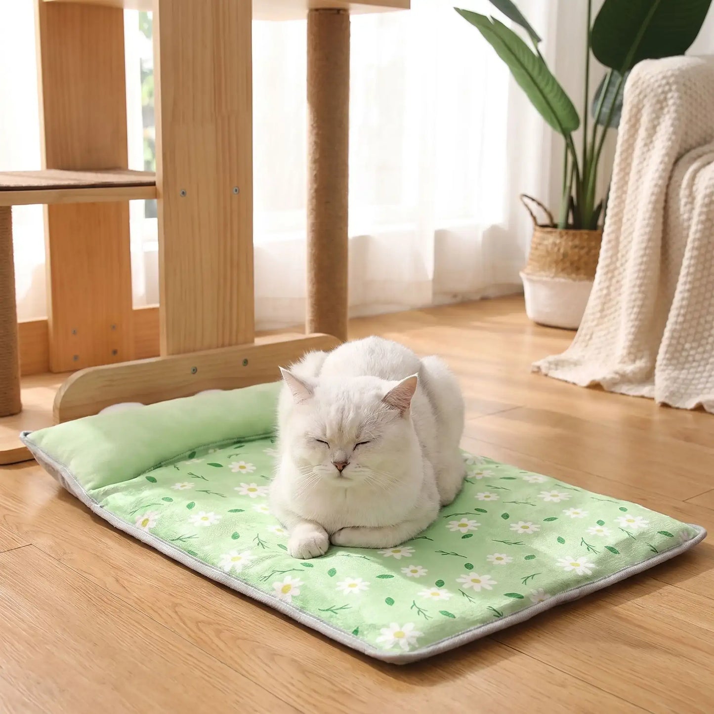 tapis rafraichissant chat soie vert chat allongé rentré 