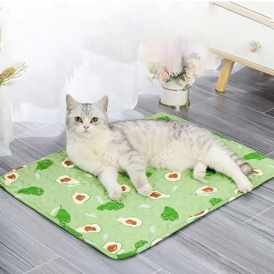 tapis rafraichissant chat vert avocats avec chat 